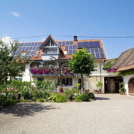 Apartamento Winzerhof Bitzenhofer Vogtsburg Exterior foto